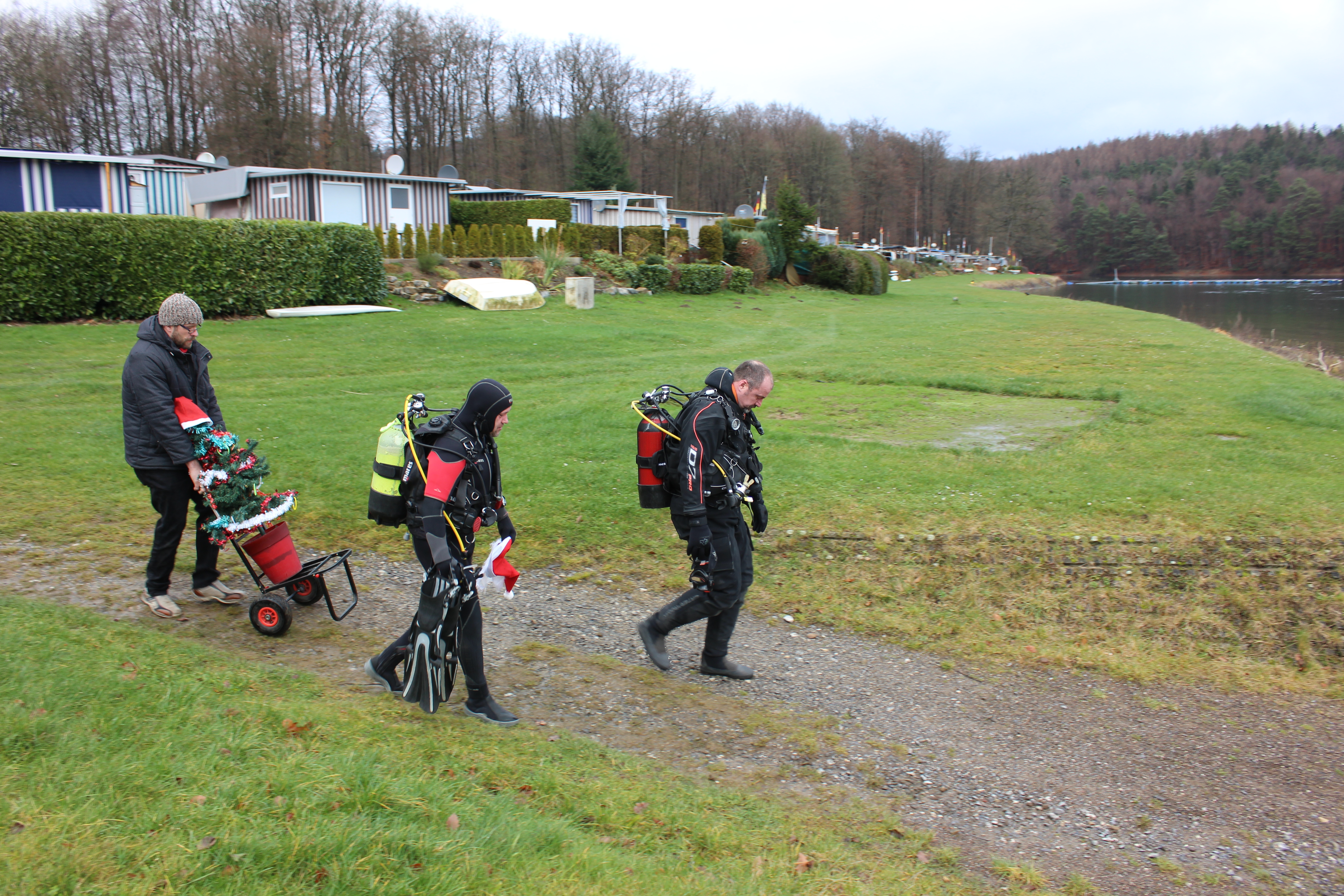 Weihnachtsbaum2015 402