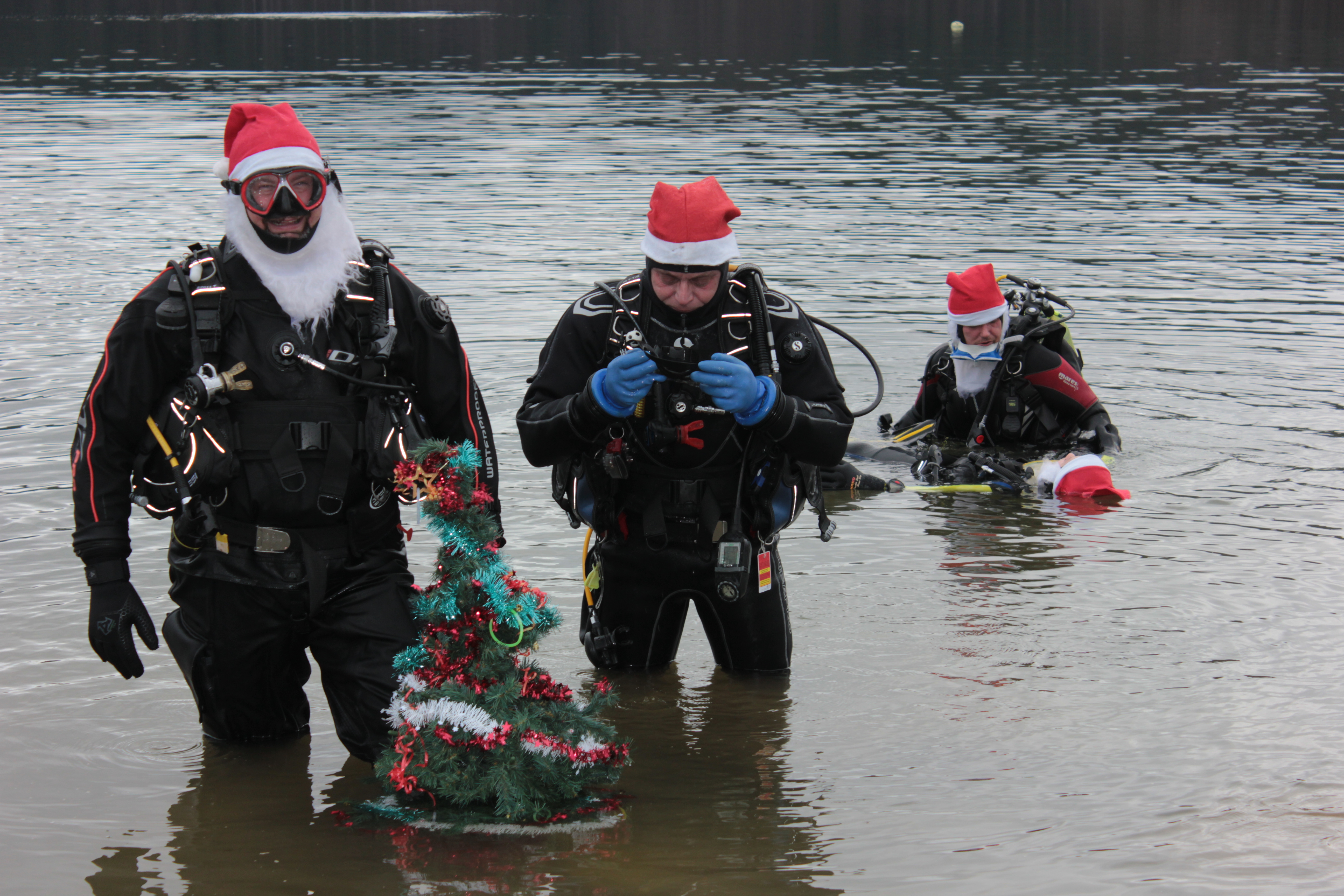 Weihnachtsbaum2015 420