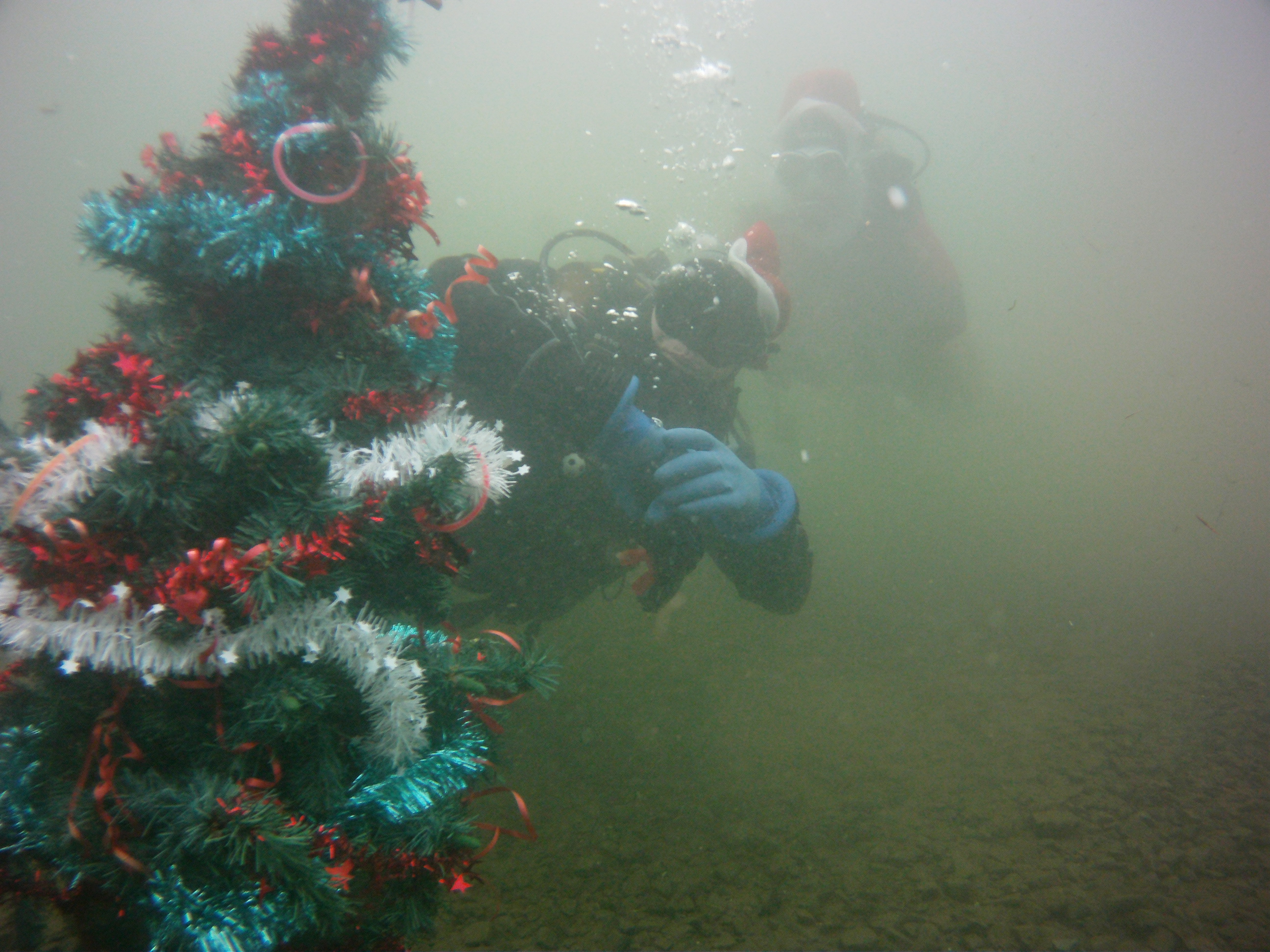 Weihnachtsbaum2015 696