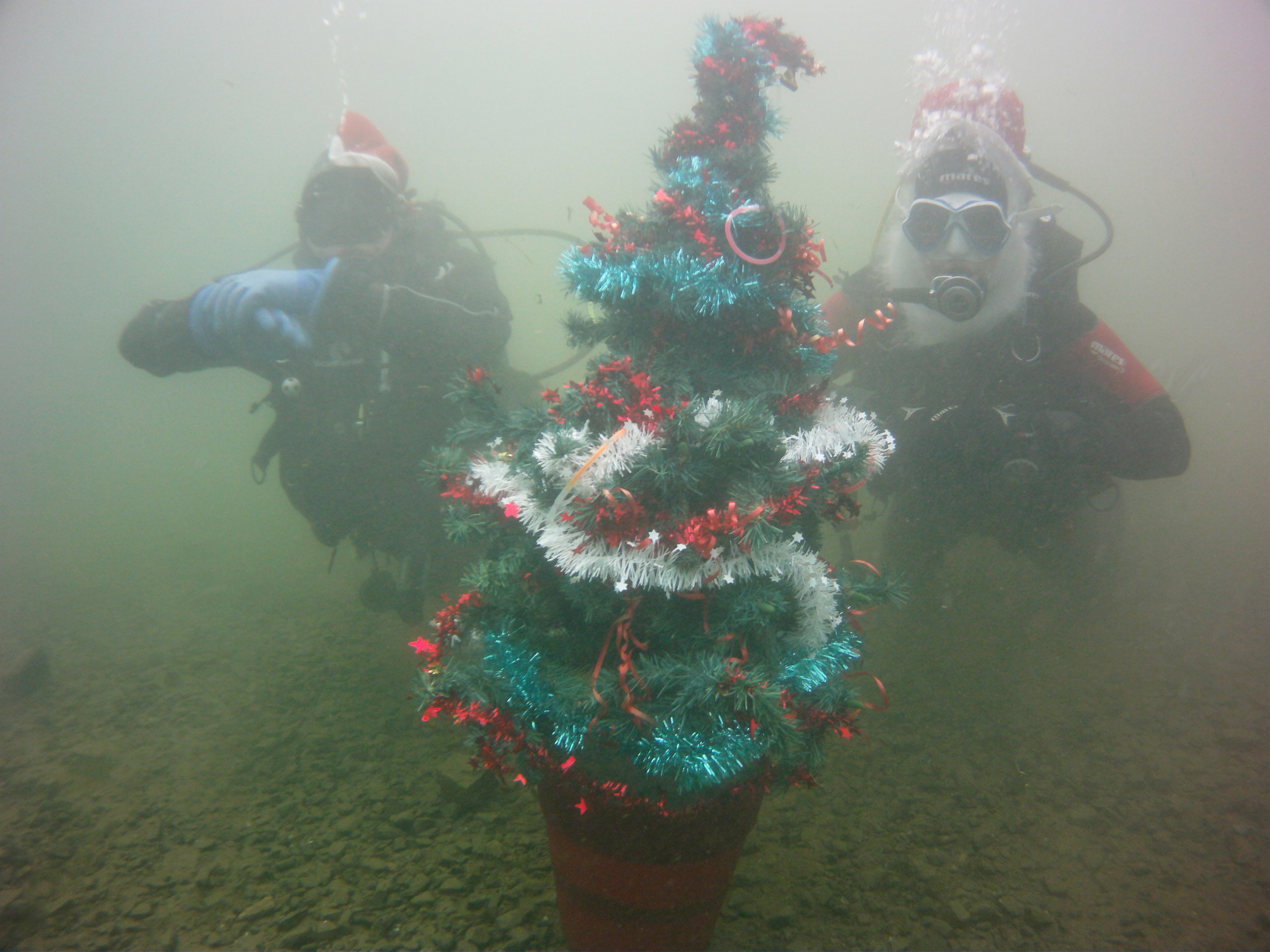 Weihnachtsbaum2015 697