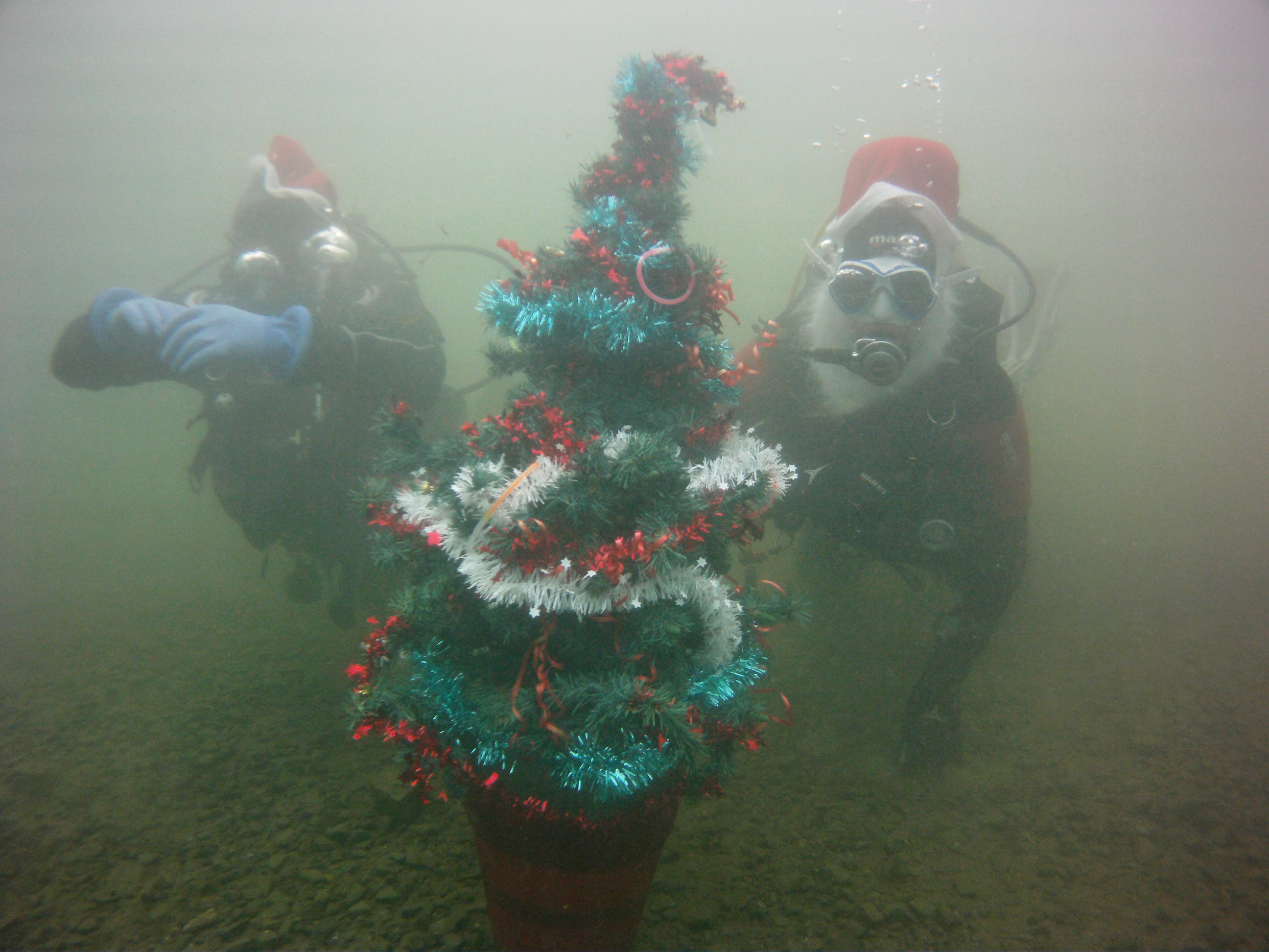 Weihnachtsbaum2015 698