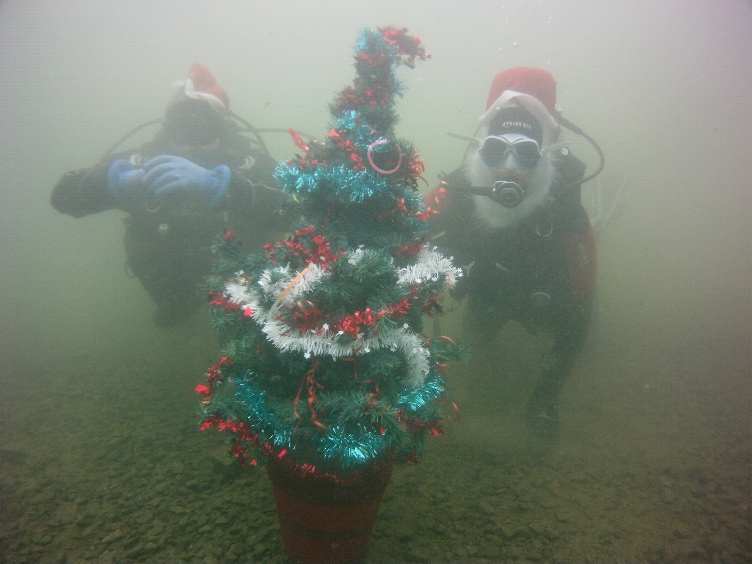 Weihnachtsbaum2015 699