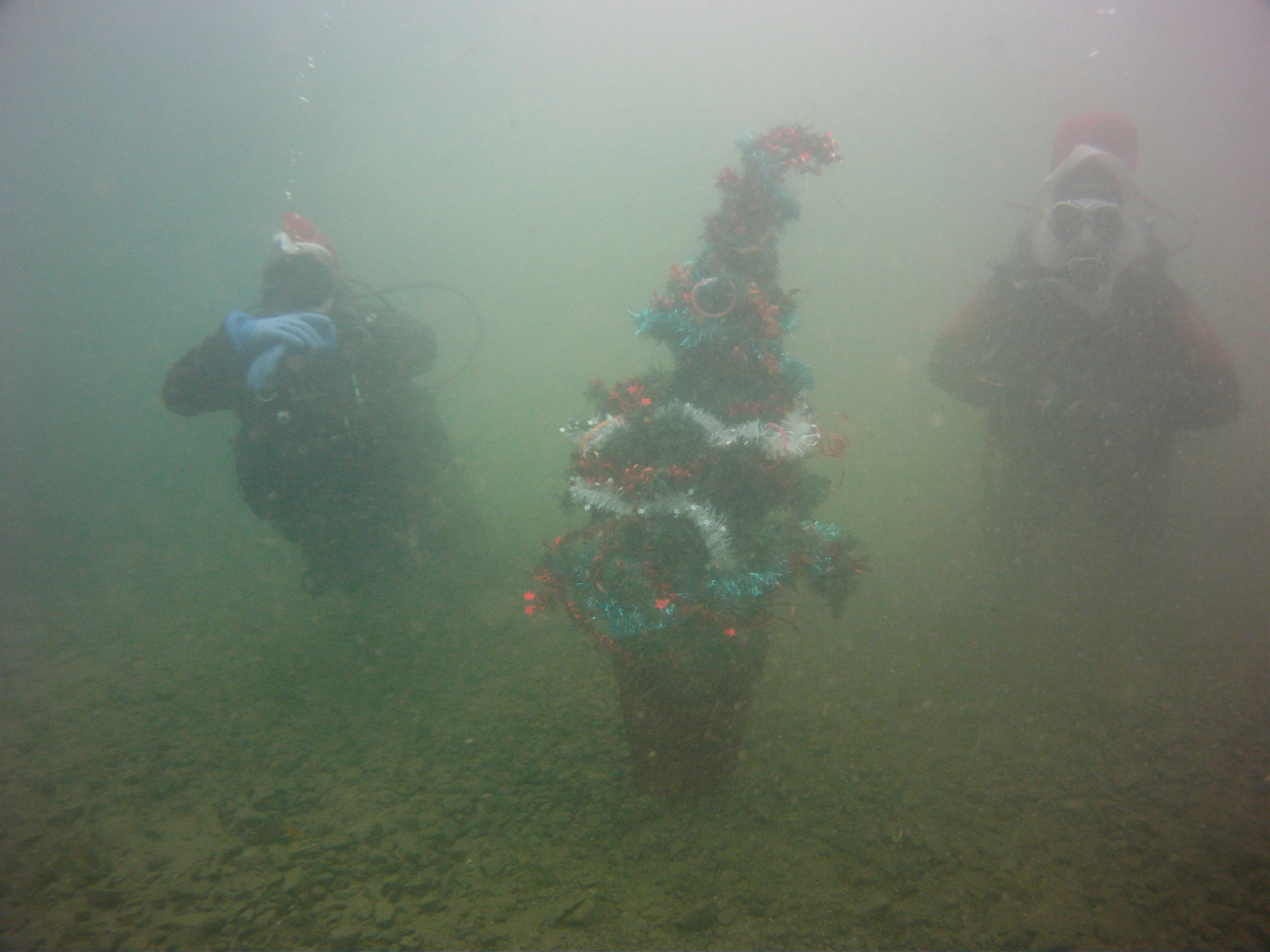 Weihnachtsbaum2015 700