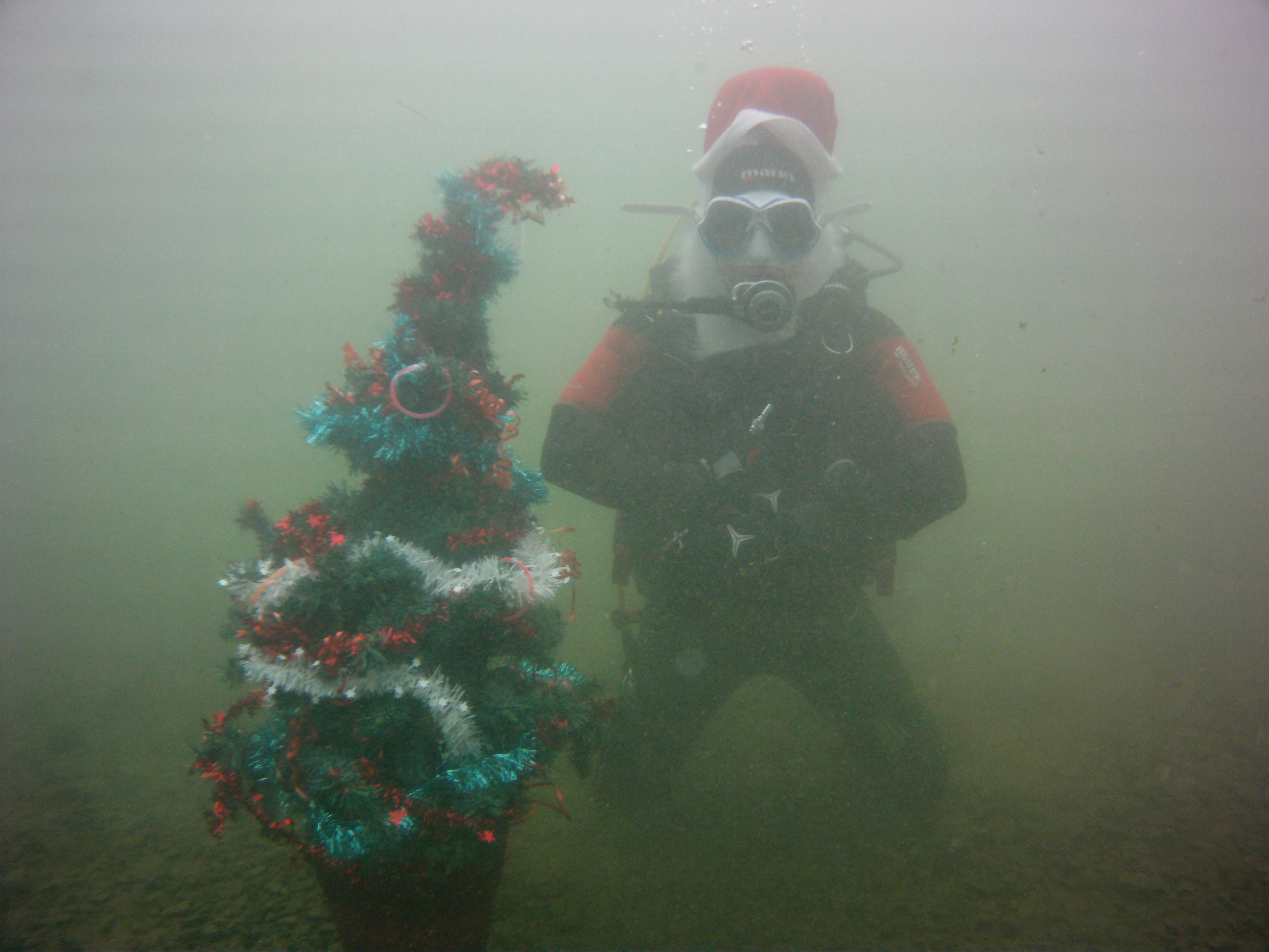 Weihnachtsbaum2015 701