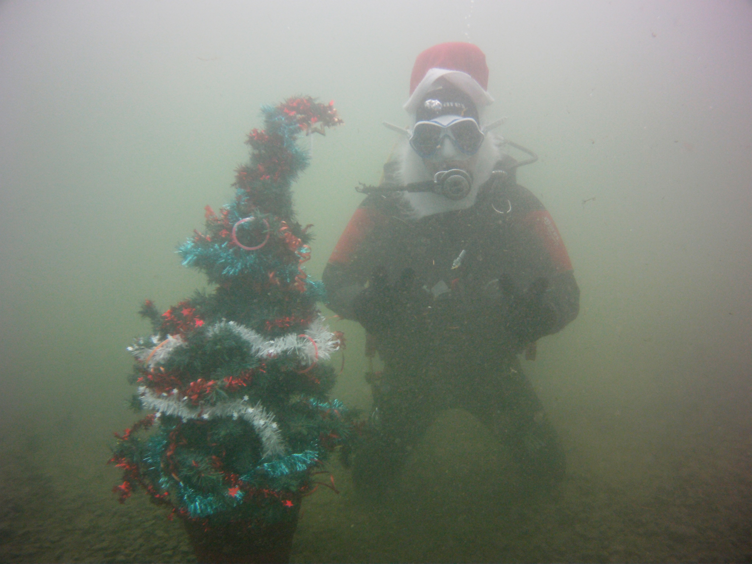 Weihnachtsbaum2015 702