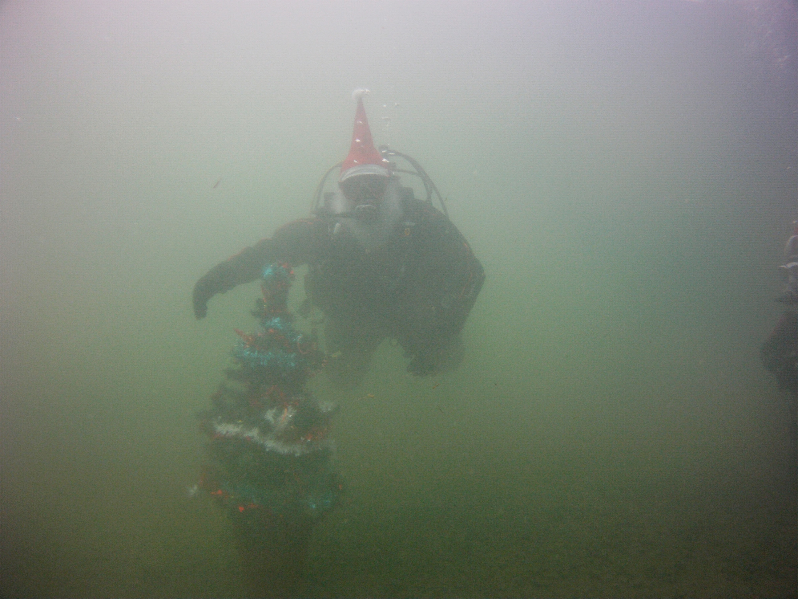 Weihnachtsbaum2015 706