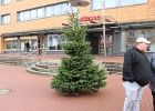 Weichnachtsbaum Ickern