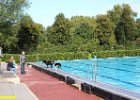 Hundeschwimmen2017 4616