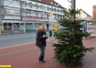 Weihnachtsbaum Ickern