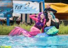 Freibadfest140719mgo072  Castrop-Rauxel. Der Tauchverein TC Tümmler beim "Tag des Bades" im Freibad.   14.07.2019  Foto: Martin Goldhahn : Vereine, Sport, Wassersport, Tauchen