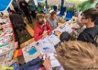 Freibadfest140719mgo090  Castrop-Rauxel. Der Tauchverein TC Tümmler beim "Tag des Bades" im Freibad.   14.07.2019  Foto: Martin Goldhahn : Vereine, Sport, Wassersport, Tauchen