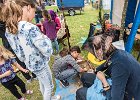 Freibadfest140719mgo102  Castrop-Rauxel. Der Tauchverein TC Tümmler beim "Tag des Bades" im Freibad.   14.07.2019  Foto: Martin Goldhahn : Vereine, Sport, Wassersport, Tauchen