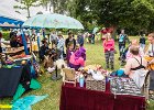 Freibadfest140719mgo104  Castrop-Rauxel. Der Tauchverein TC Tümmler beim "Tag des Bades" im Freibad.   14.07.2019  Foto: Martin Goldhahn : Vereine, Sport, Wassersport, Tauchen