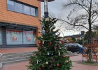 Weihnnachtsbaum Aktion