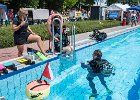 Freibadfest  Castrop-Rauxel. TC Tümmler auf dem Freibadfest.   18.06.2023  Foto: Martin Goldhahn : Sport, Vereine, Tauchen, Wassersport, Freizeit Sommer