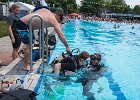 Freibadfest  Castrop-Rauxel. TC Tümmler auf dem Freibadfest.   18.06.2023  Foto: Martin Goldhahn : Sport, Vereine, Tauchen, Wassersport, Freizeit Sommer