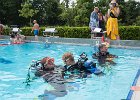 Freibadfest  Castrop-Rauxel. TC Tümmler auf dem Freibadfest.   18.06.2023  Foto: Martin Goldhahn : Sport, Vereine, Tauchen, Wassersport, Freizeit Sommer