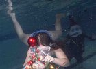 IMG-20241222-WA0032