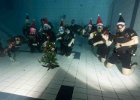 IMG-20241222-WA0053