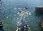 IMG-20250405-WA0010