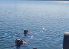 IMG-20250406-WA0003