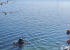 IMG-20250406-WA0005