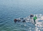 IMG-20250406-WA0006
