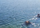 IMG-20250406-WA0008