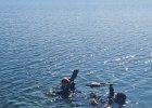 IMG-20250406-WA0014