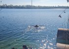 IMG-20250406-WA0019