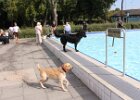 IMG 0748