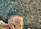 IMG-20251019-WA0026