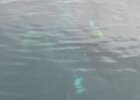 IMG-20250816-WA0001