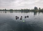 IMG-20250816-WA0004