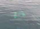 IMG-20250816-WA0011