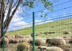 IMG-20250519-WA0005