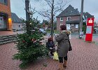 Weihnachtsbaumaktion